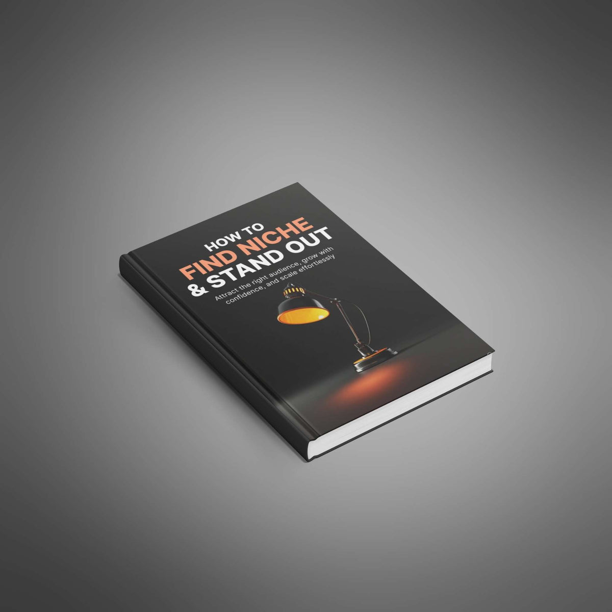 How to Find Niche and Stand Out